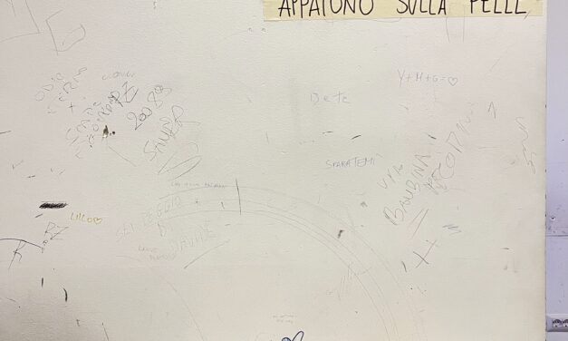 SkinToSkin – Diario di un corpo